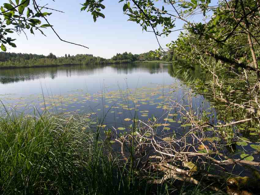 Lac de Bonlieu